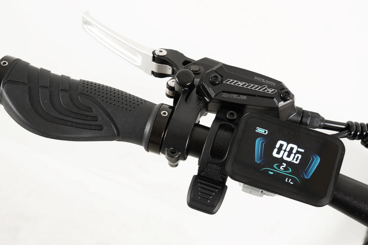 2025 New Mamba Double Strike V2 E-MTB Full Suspension Ebike