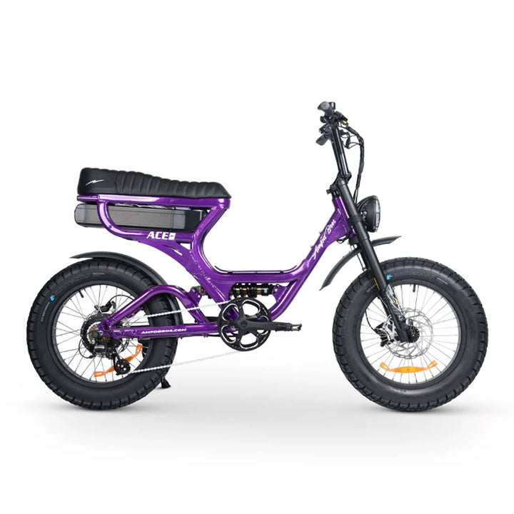 Ace-S Pro Dual Suspension Electric Bike