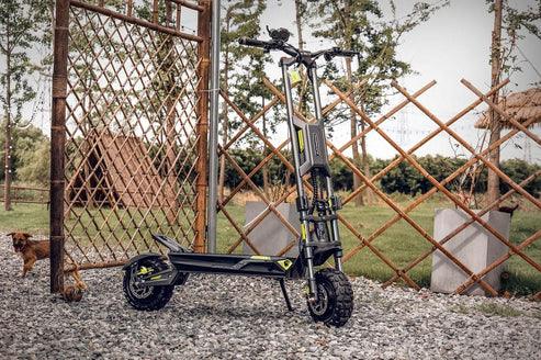 Dragon Hurricane Dual Stem Electric Scooter