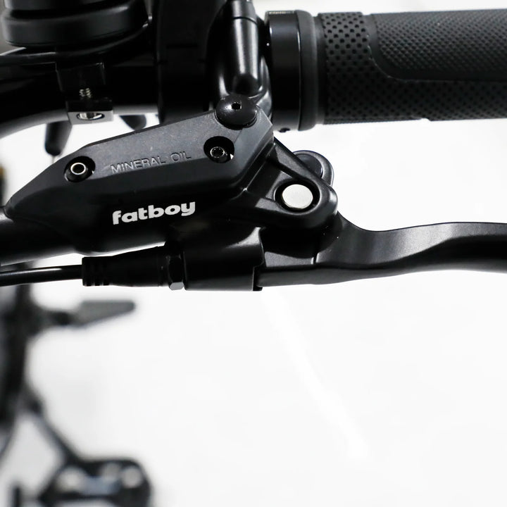 Fatboy The Bagus V3 Electric Bike