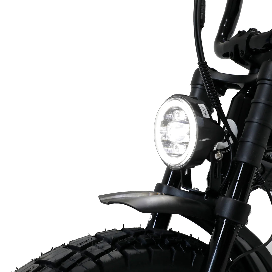 Fatboy The DNA V3 Electric Bike