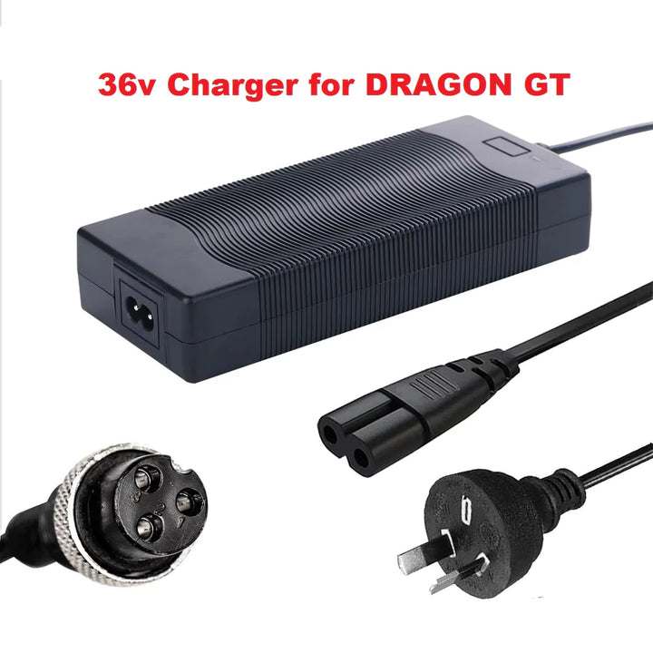 Charger - 36V Original Dragon (GT)