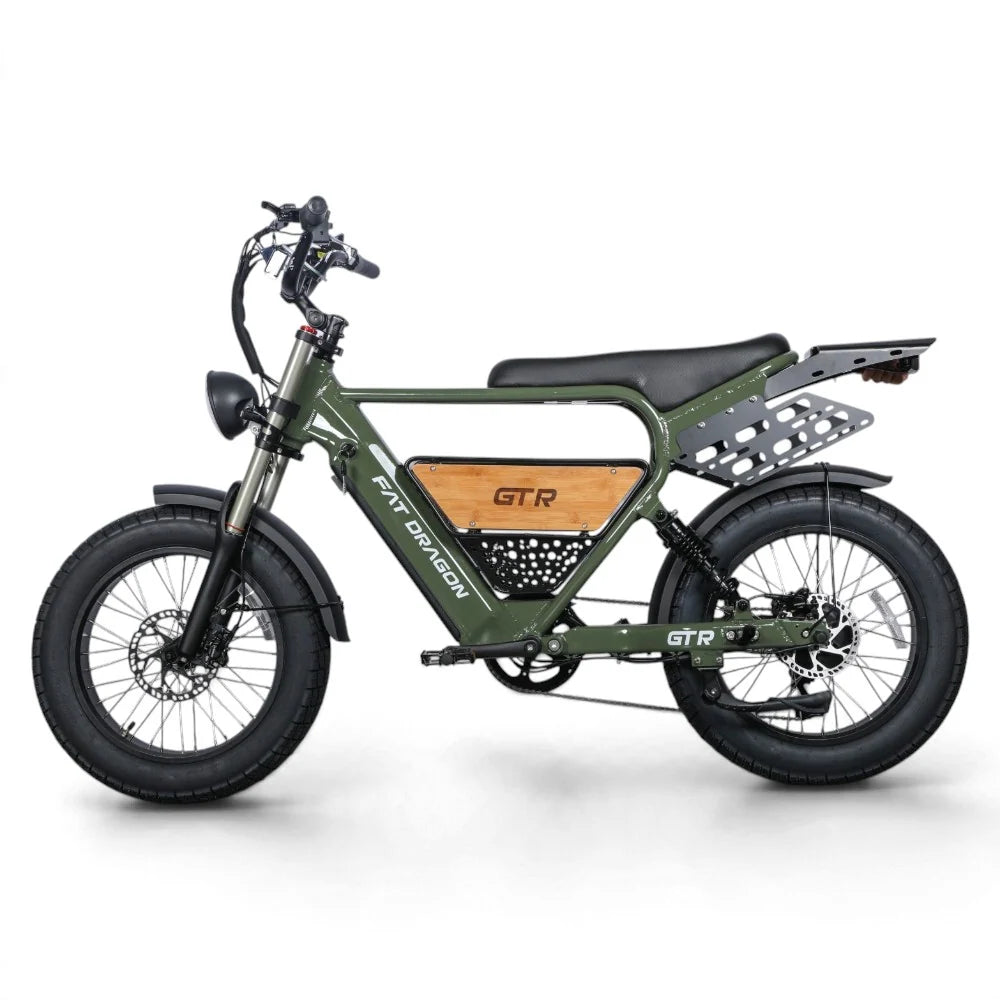 Dragon GTR 250W Fat Tyre Electric Bike