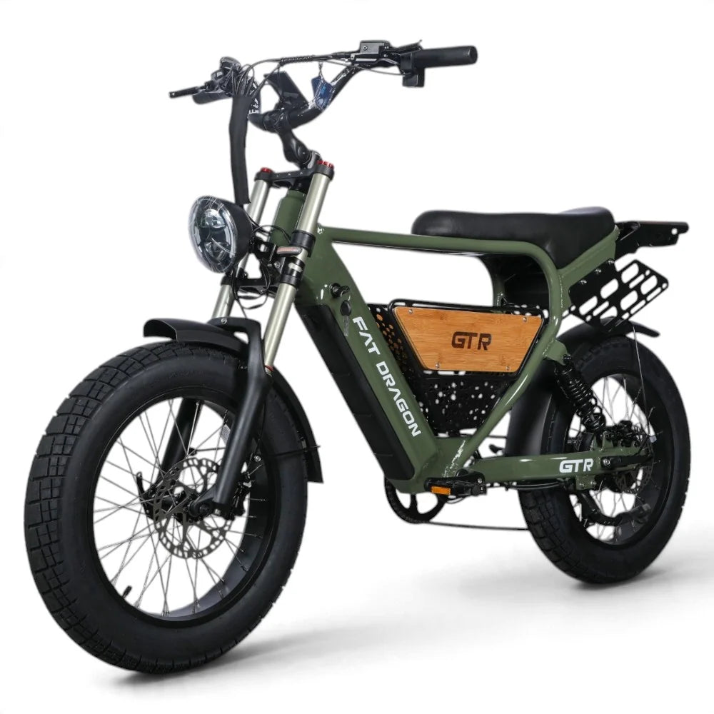 Dragon GTR 250W Fat Tyre Electric Bike