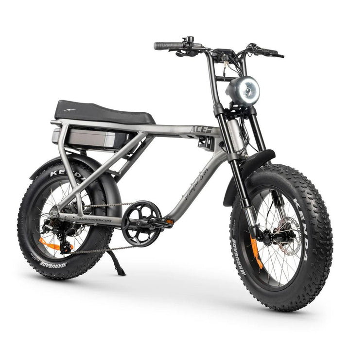 Ace-X Plus+ Electric Bike