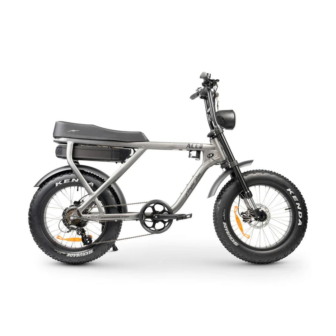 Ace-X Plus+ Electric Bike