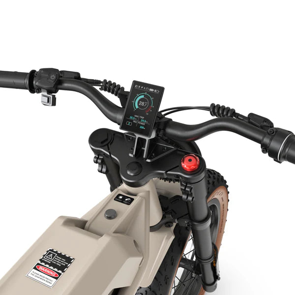 Bolzzen Bandit Electric Bike - E-Move Bikes