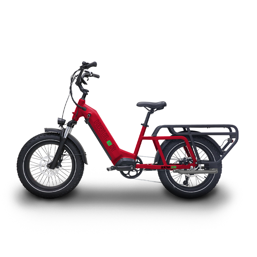 Benzina Zero Hauler Electric Bike – E-Move Bikes