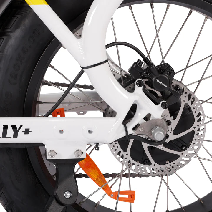 Ace Rally Plus+ Edition Electric Bike