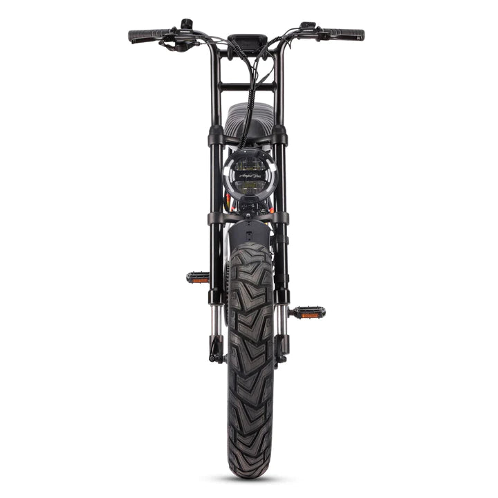 Ace Rally Plus+ Edition Electric Bike