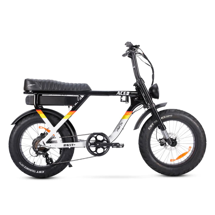 Ace Rally Plus+ Edition Electric Bike