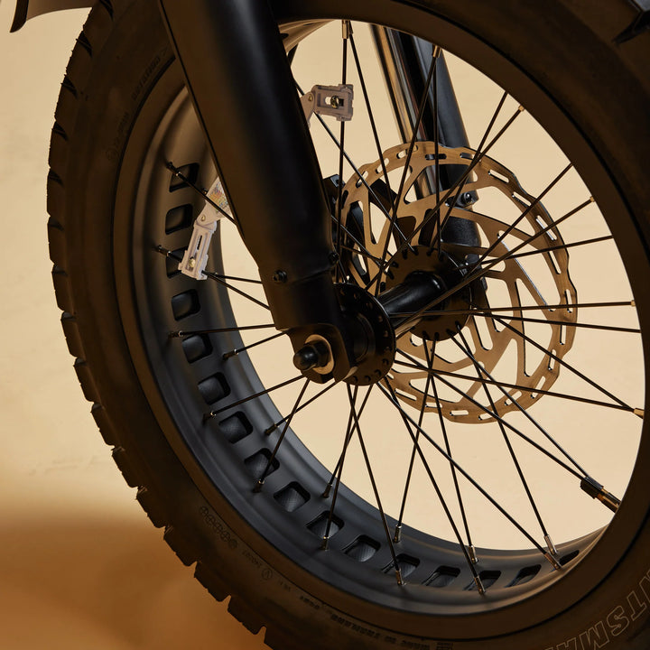 Cruzr SWELL Electric Bike