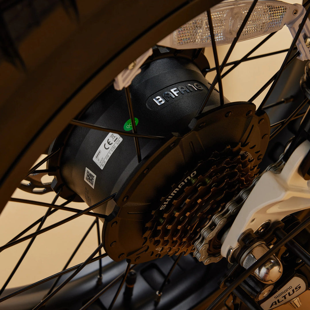 Cruzr SWELL Electric Bike