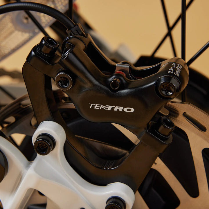 Cruzr SWELL Electric Bike