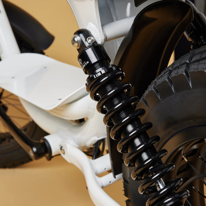 Cruzr SWELL Electric Bike