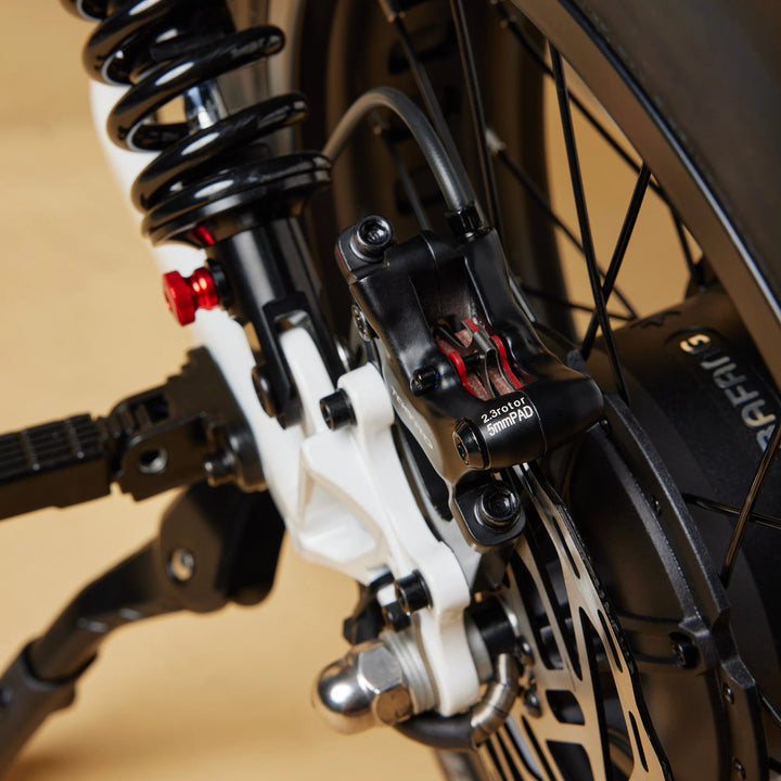 Cruzr SWELL Electric Bike