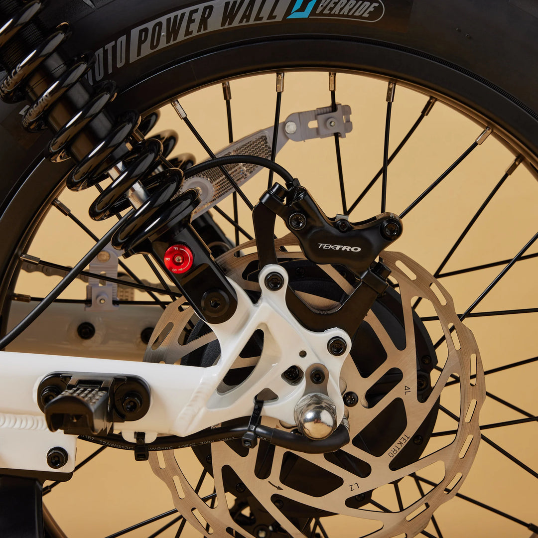 Cruzr SWELL Electric Bike