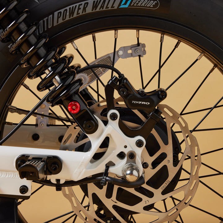 Cruzr SWELL Electric Bike