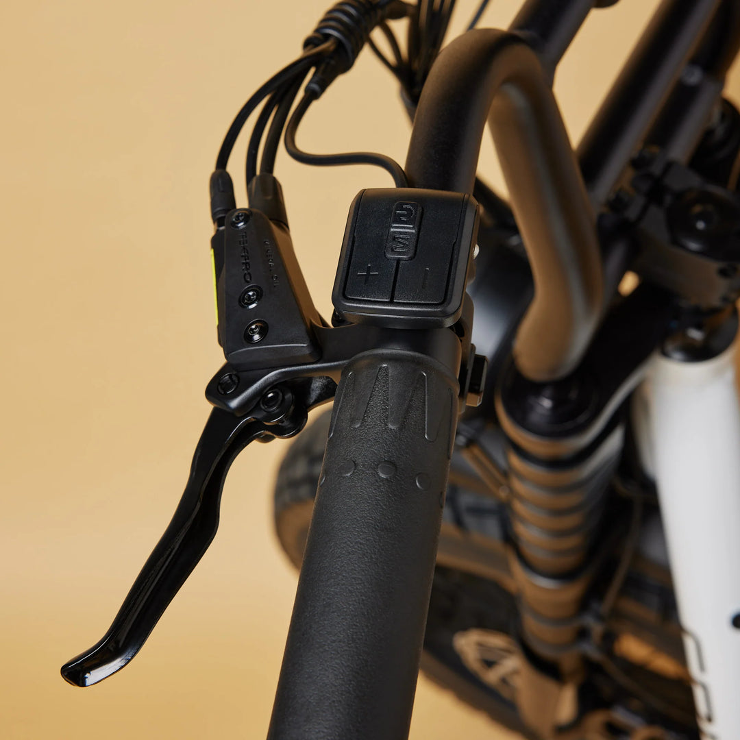 Cruzr SWELL Electric Bike