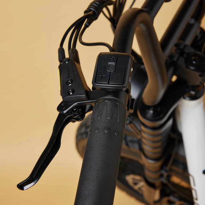 Cruzr SWELL Electric Bike