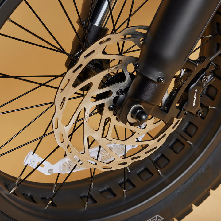 Cruzr SWELL Electric Bike