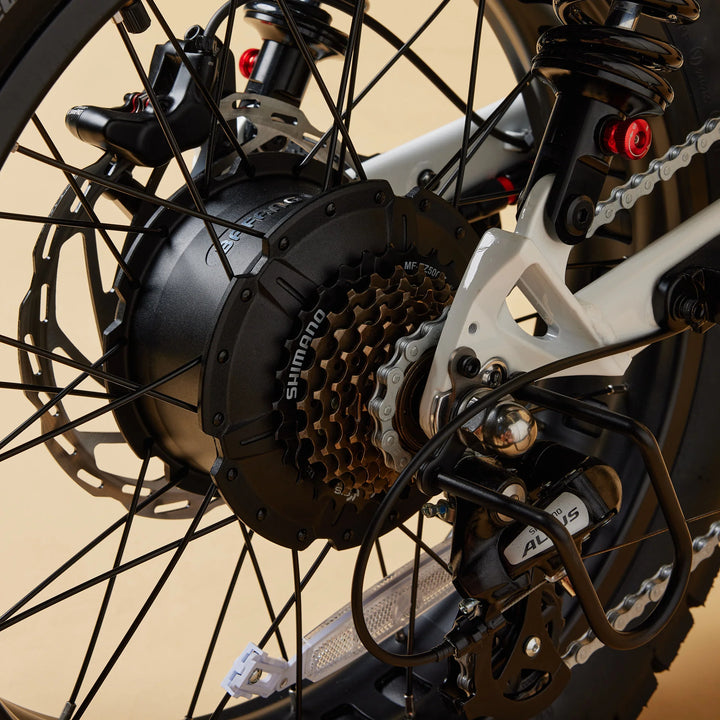 Cruzr SWELL Electric Bike