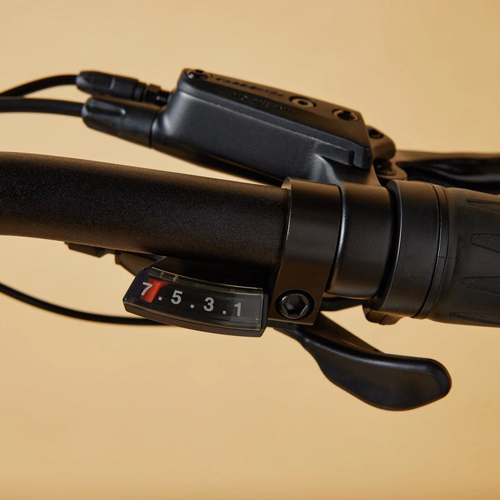 Cruzr SWELL Electric Bike