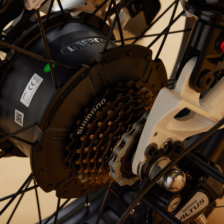 Cruzr SWELL Electric Bike