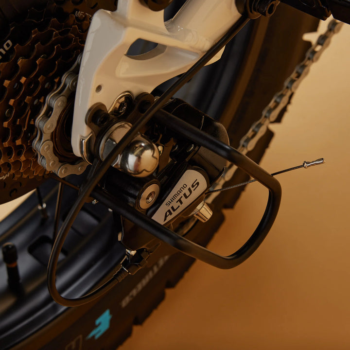 Cruzr SWELL Electric Bike