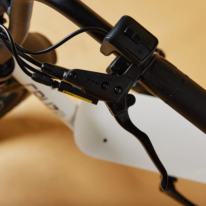 Cruzr SWELL Electric Bike