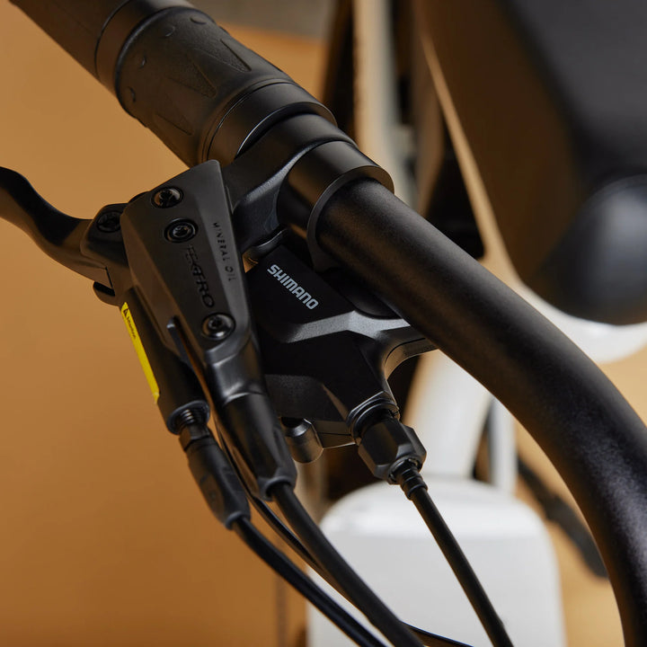 Cruzr SWELL Electric Bike