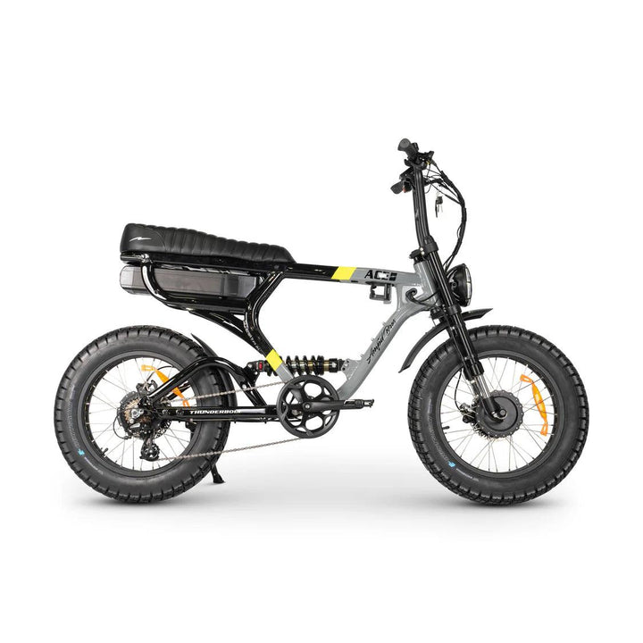 ACE-X DEMON Dual Motor Electric Bike