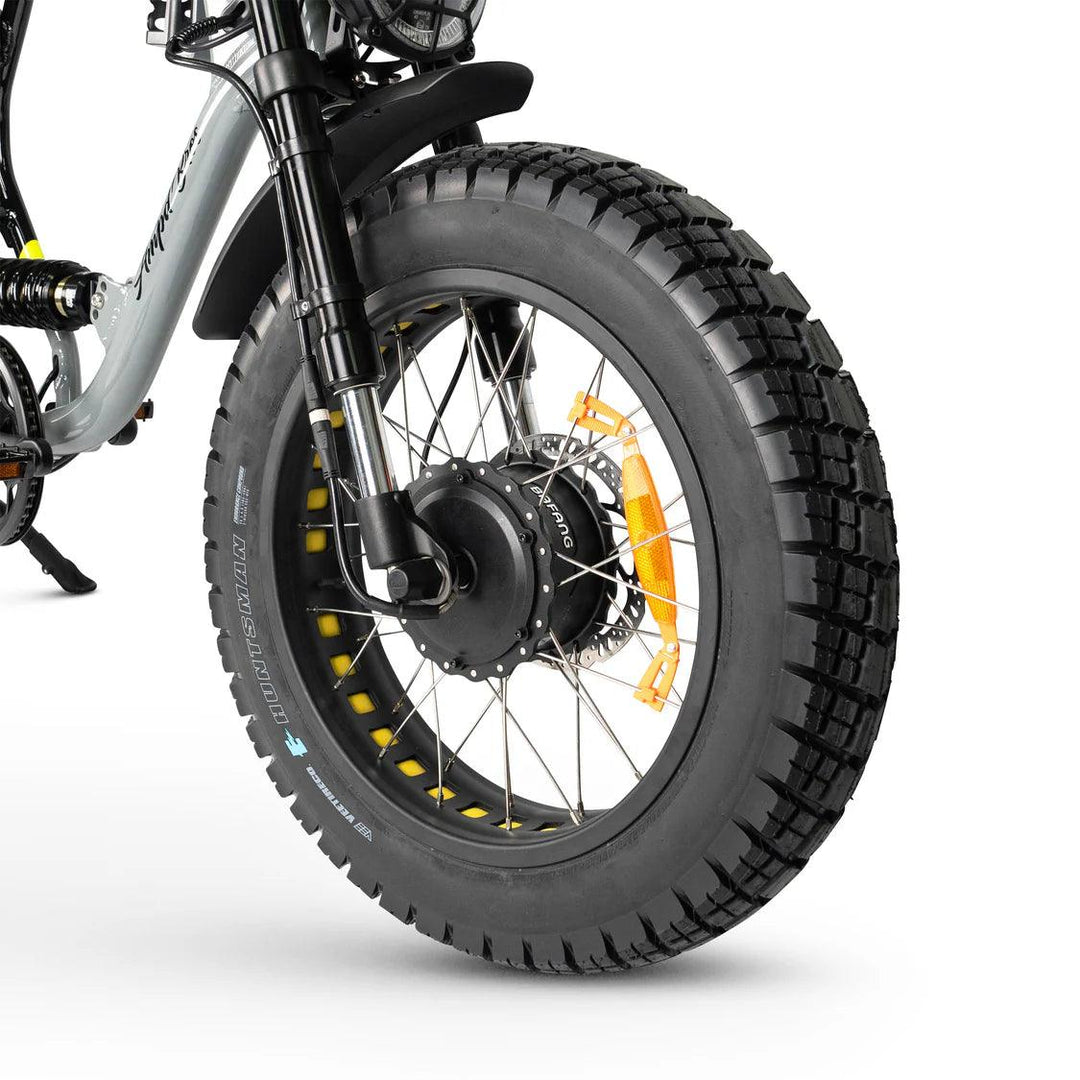 ACE-X DEMON Dual Motor Electric Bike