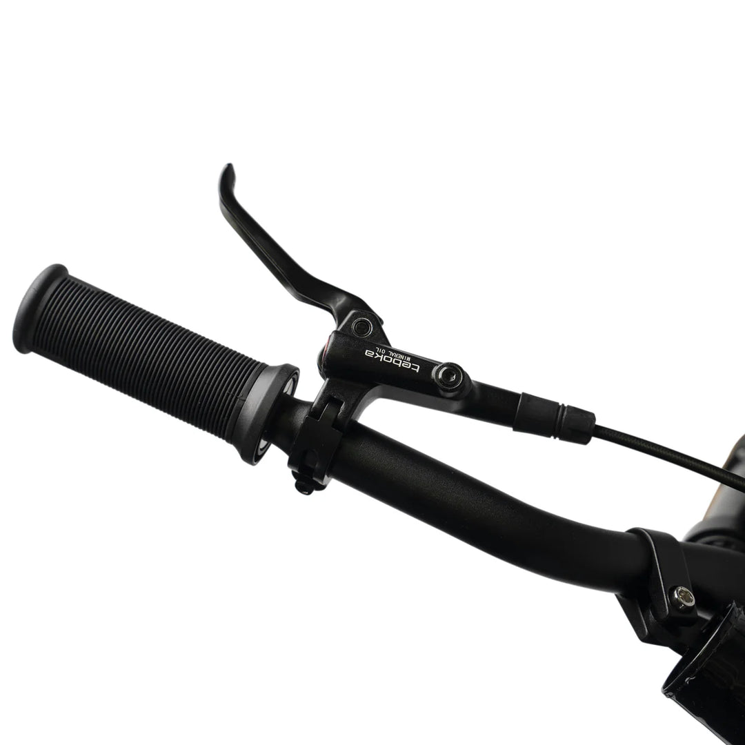 Ampd Bros Evo Racing 20" Electric Bike