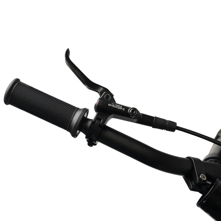 Ampd Bros Evo Racing 20" Electric Bike