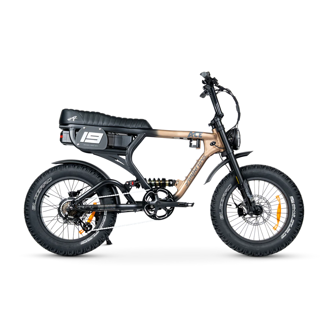 ACE-X Pro Series 5 Electric Bike