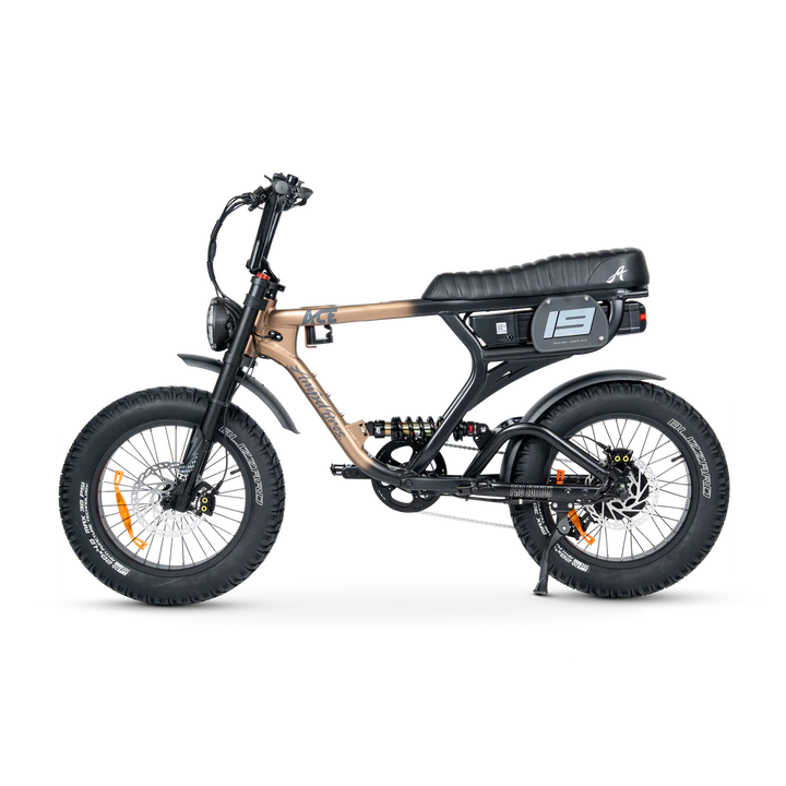 ACE-X Pro Series 5 Electric Bike