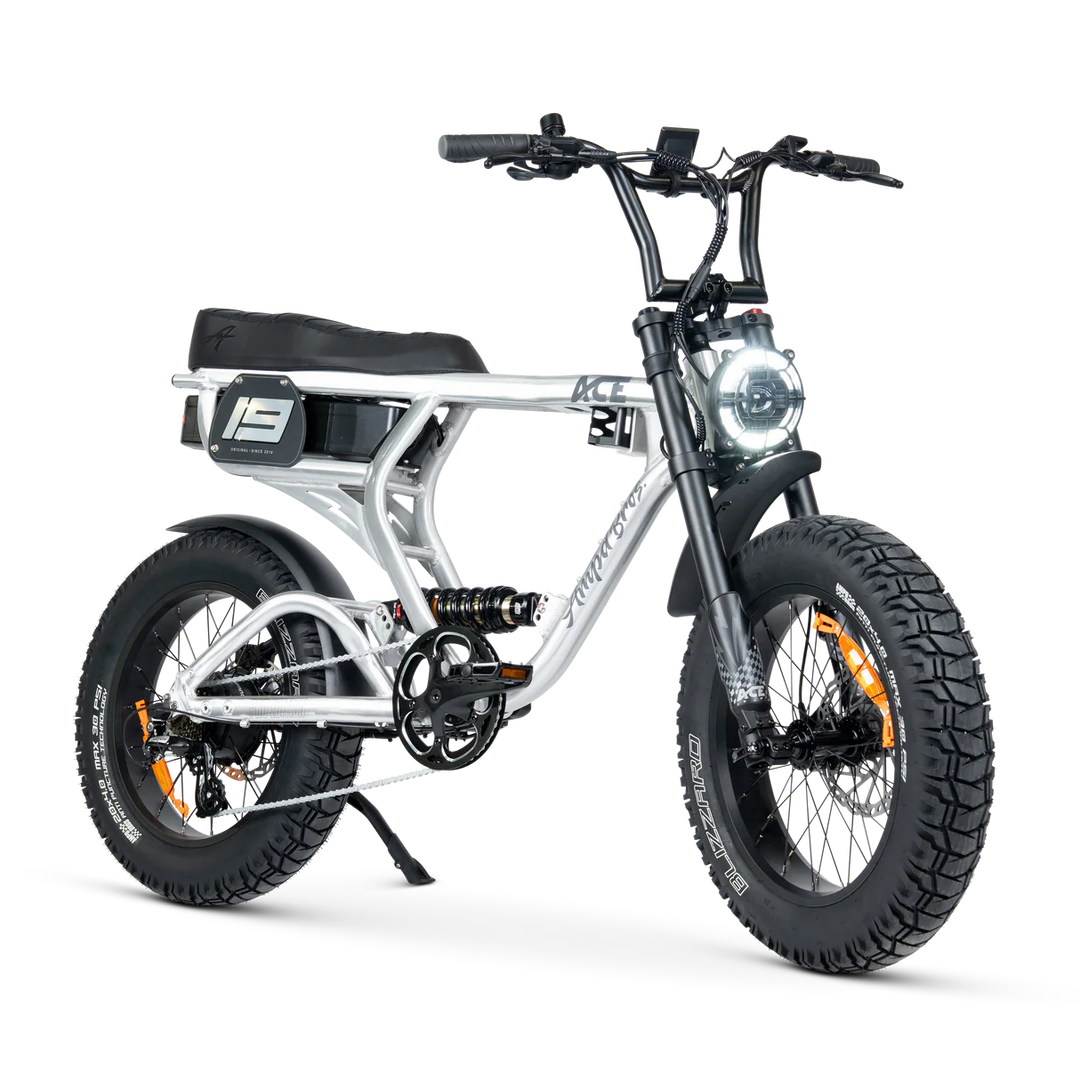 ACE-X Pro Series 5 Electric Bike Raw