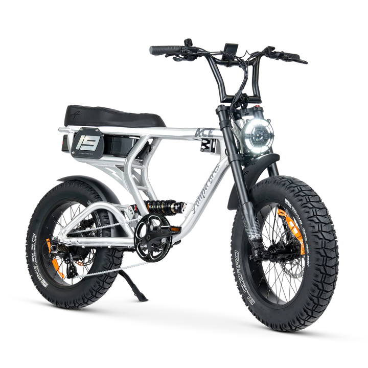 ACE-X Pro Series 5 Electric Bike Raw