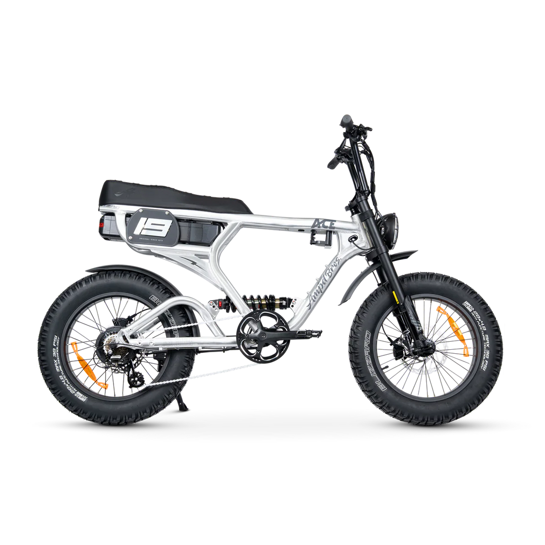ACE-X Pro Series 5 Electric Bike