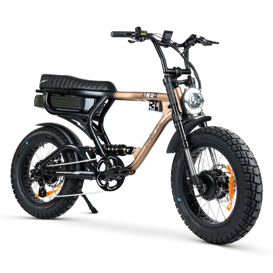 ACE-X DEMON Dual Motor Electric Bike