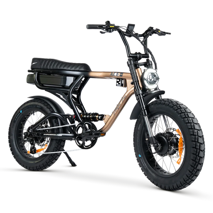 ACE-X DEMON Dual Motor Electric Bike