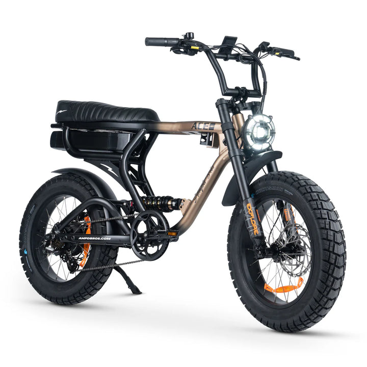 ACE-X PRO Dual Suspension Electric Bike