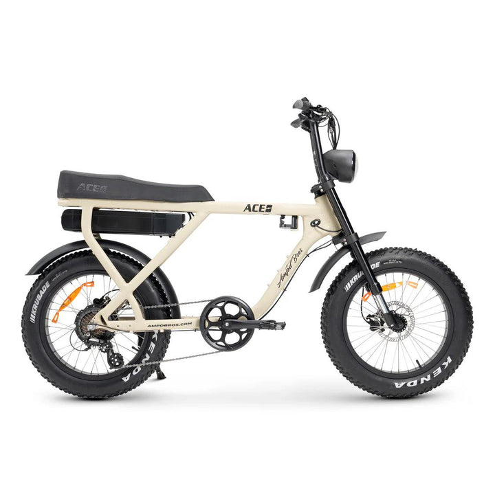 Ace-X Plus+ Electric Bike