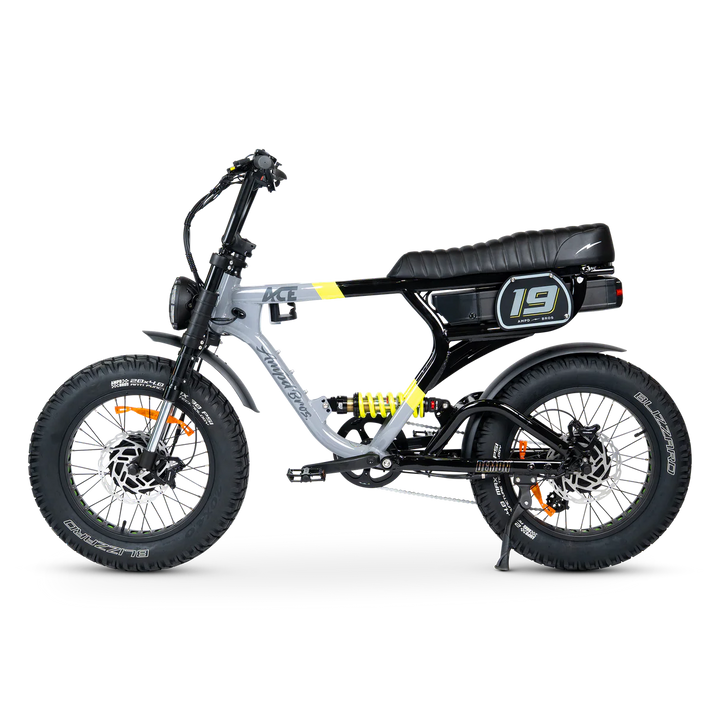 ACE-X DEMON Series 5 Dual Motor Electric Bike