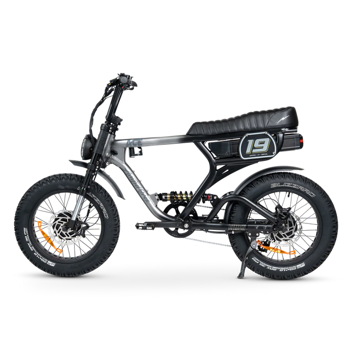 ACE-X DEMON Series 5 Dual Motor Electric Bike