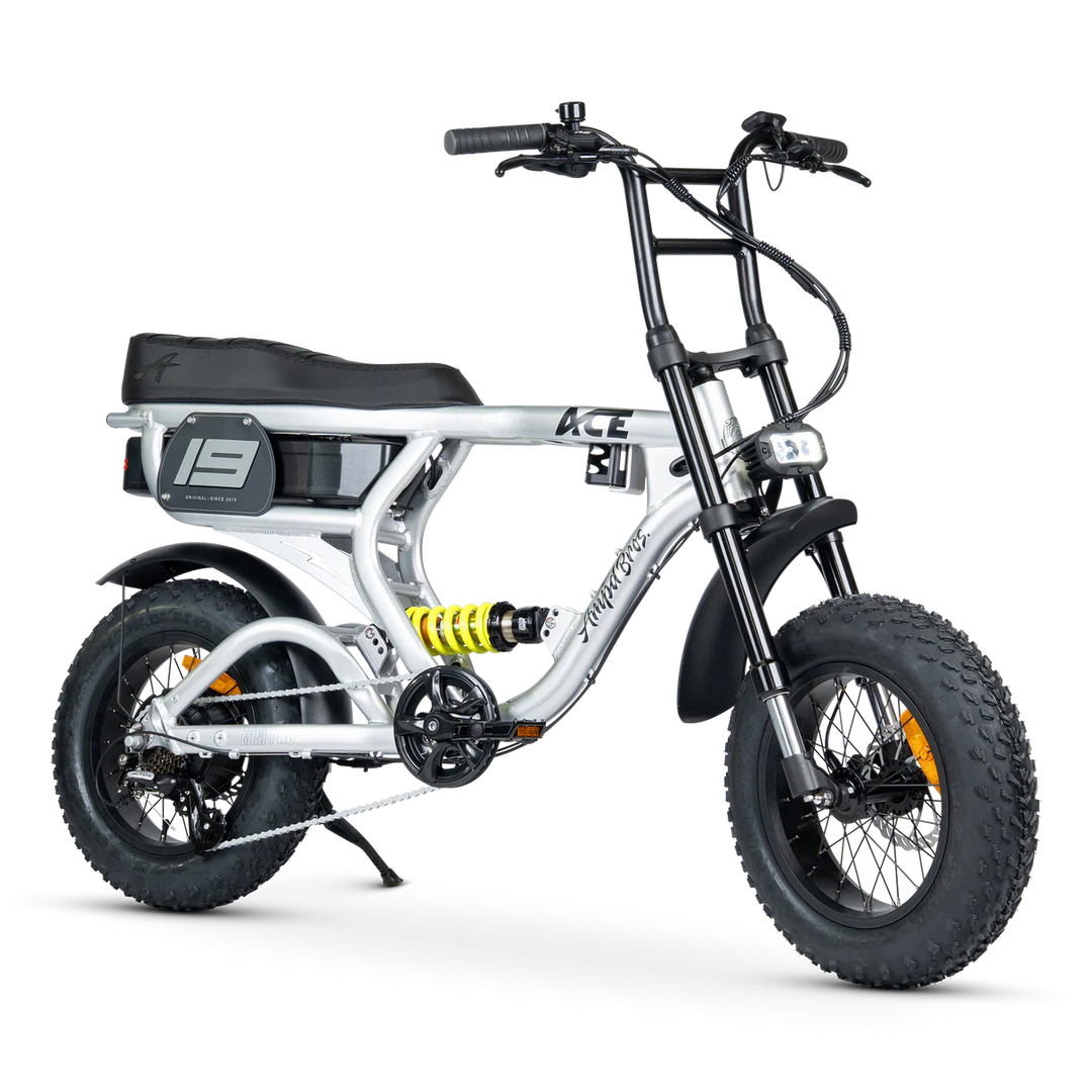 ACE-X Mini Pro Series 5 Electric Bike