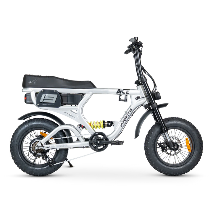 ACE-X Mini Pro Series 5 Electric Bike