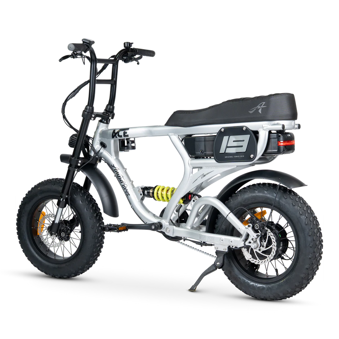 ACE-X Mini Pro Series 5 Electric Bike