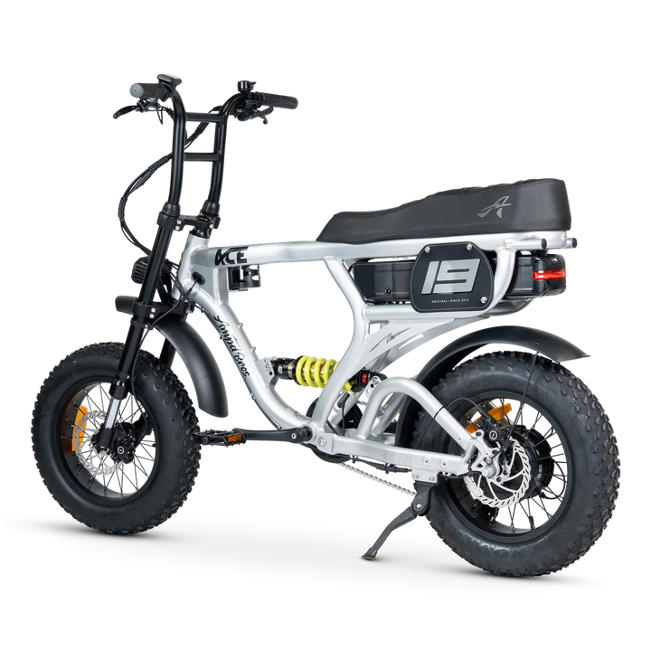ACE-X Mini Pro Series 5 Electric Bike